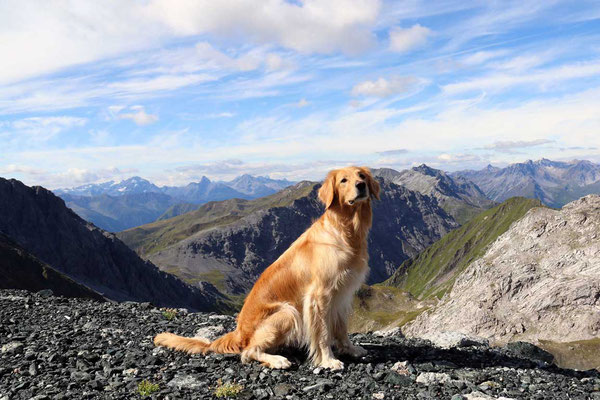 Jule auf dem Weißfluhjoch (2.693 m ü. M.) 