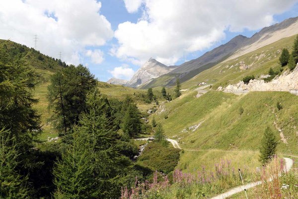 Auf dem Rückweg vom Flüelapass