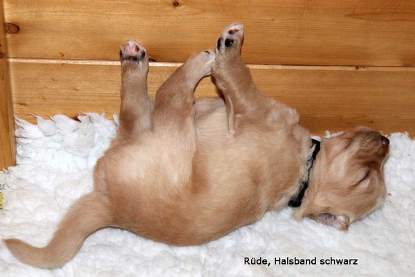 so kann man auch schlafen