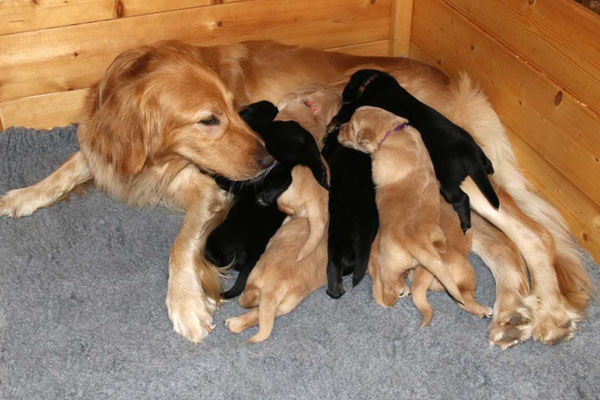 Mama, da ist kein Platz mehr für mich...