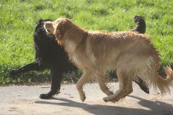 Joy und Jule