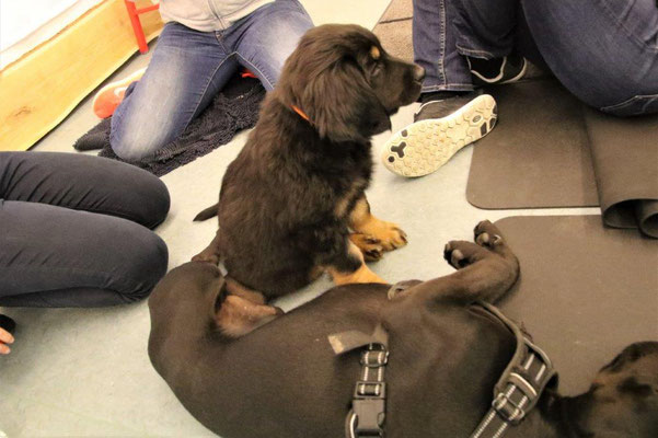 Pinja und Walter
