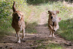 Jule und Pauli