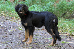  Pinja, 6½ Monate alt