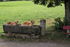 Jule und Nola, Erfrischung muss sein