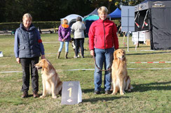 links: Abby v. Wittringer Mühlenbach, BOS rechts: Oskar v. Gültsteiner Tor, BOB